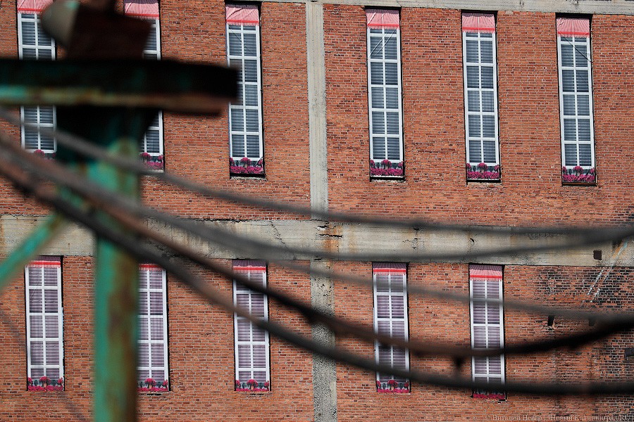 Конец «Дариты»: как сносят здания бывшего ЦБЗ на Ялтинской (фото)  