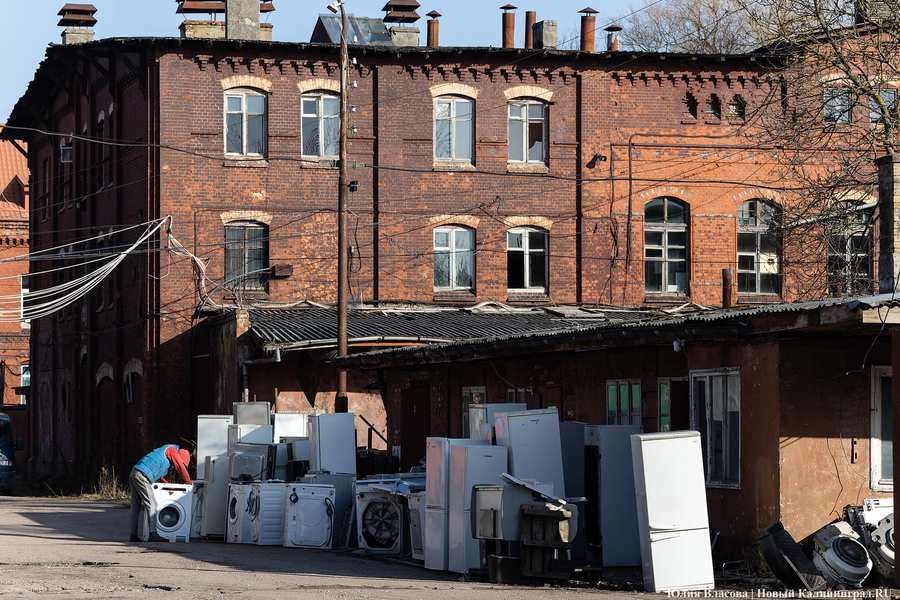 След Розенау: как выглядит заброшенный мясокомбинат на Аллее Смелых (фото)