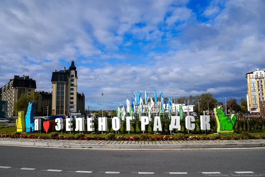 Фото: Виталий Невар / Новый Калининград