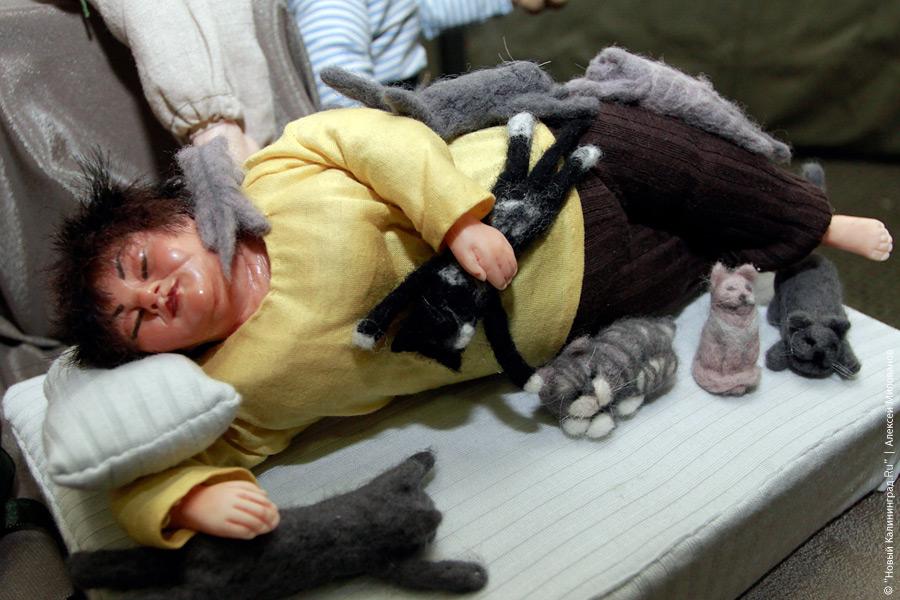 "Медвежонок Тедди и все-все-все": фоторепортаж "Нового Калининграда.Ru"