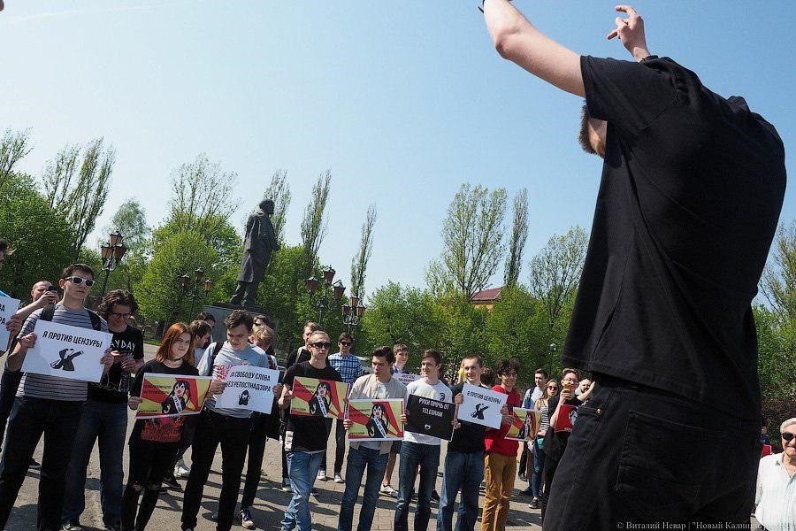 В митинге в защиту Telegram приняли участие 70 калининградцев (фото)