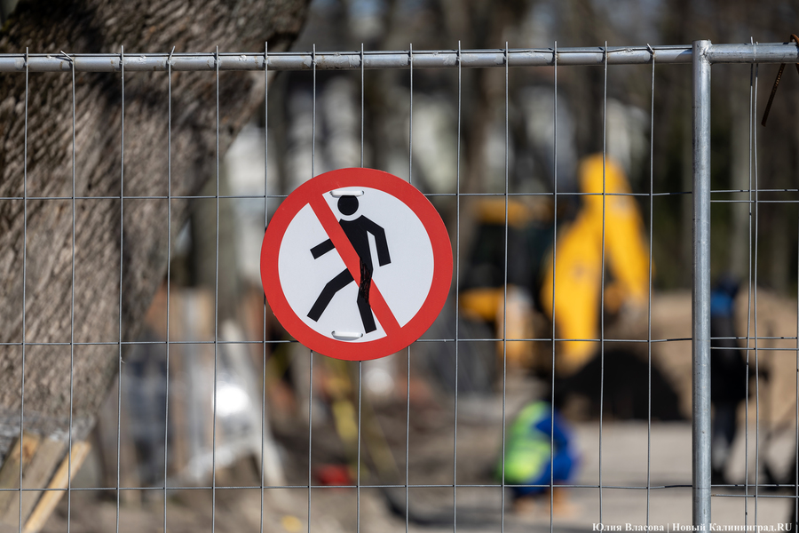 «Угнетённая территория»: в мэрии рассказали о планах на Каштановый парк (фото)