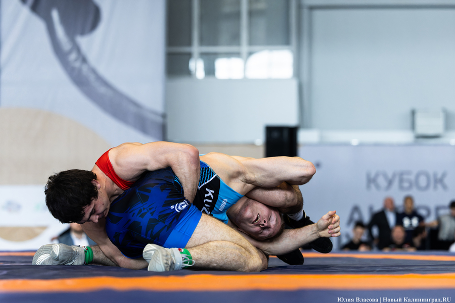 На пределе сил: в Калининграде прошел турнир по борьбе на Кубок Андрея Шумилина (фото)