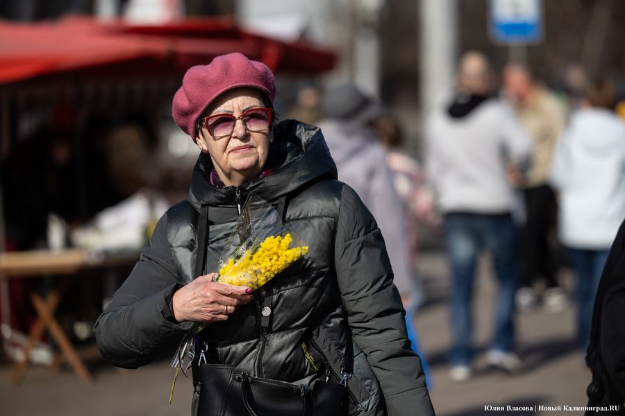 Мимозно-тюльпанный ажиотаж: Калининград накрыла традиционная цветочная лихорадка (фото)