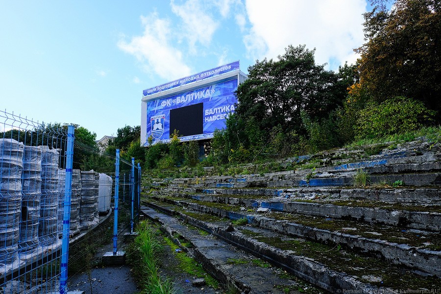 Огород вместо поля: что происходит со стадионом «Балтика» прямо сейчас (фото)