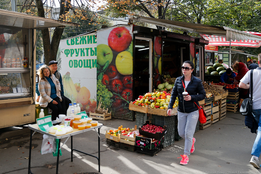 «Куда потом, воровать?»: Калининград на пороге новой палаточной войны