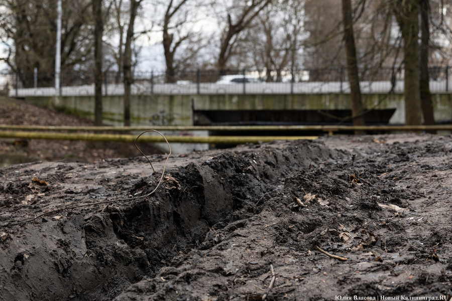 Непролазная грязь: как выглядит берег Литовского ручья в ожидании реновации (фото)