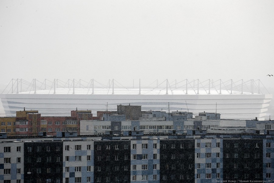 Фото — Виталий Невар, «Новый Калининград»