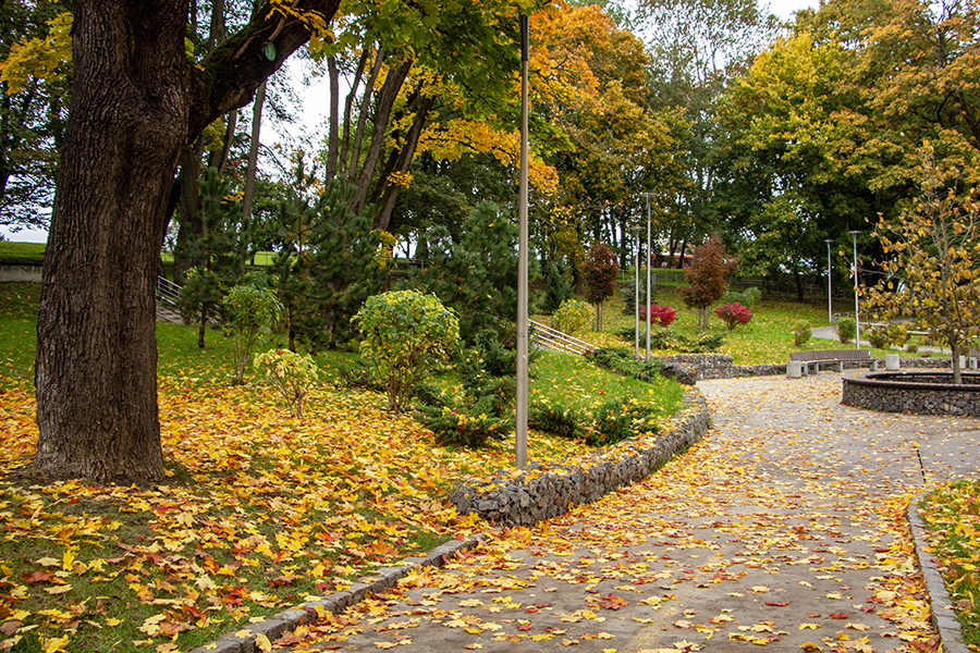 Холод и заряды смешанных осадков: прогноз погоды в Калининграде на неделю
