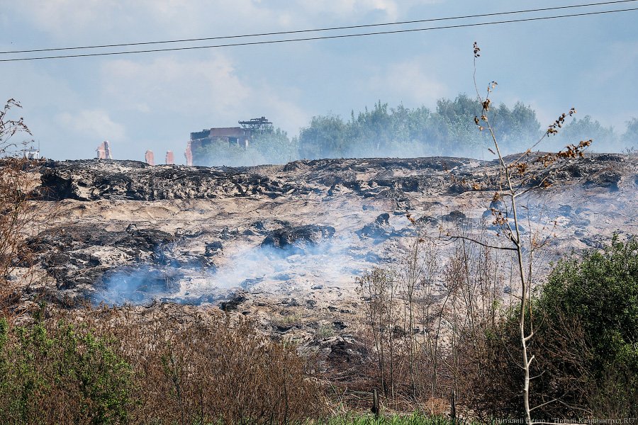 «Пламя из недр»: что происходит на горящих короотвалах в Калининграде (фото)