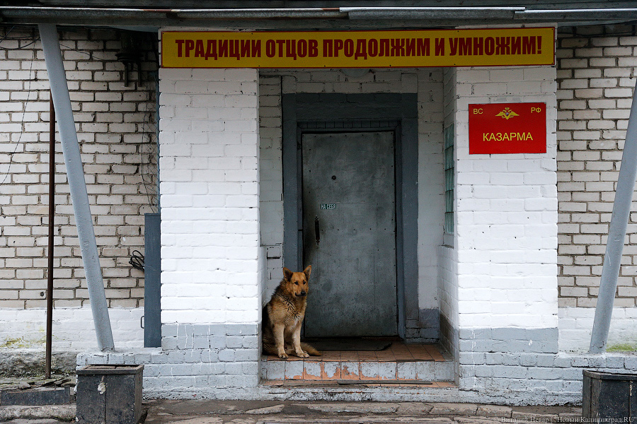 «Электронные пуски»: Балтфлот проверил готовность подразделений ПВО (фото)