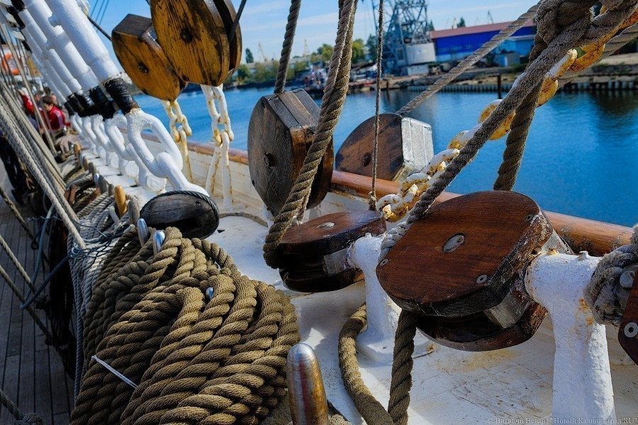 «Мама поседеет, папе пофиг»: «Крузенштерн» и «Седов» готовятся к кругосветке (фото)