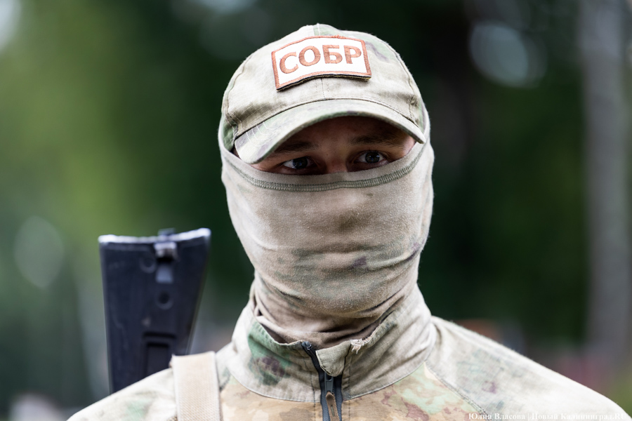 Таможенный спецназ: как проходит чемпионат по служебному двоеборью в Калининградской области (фото)