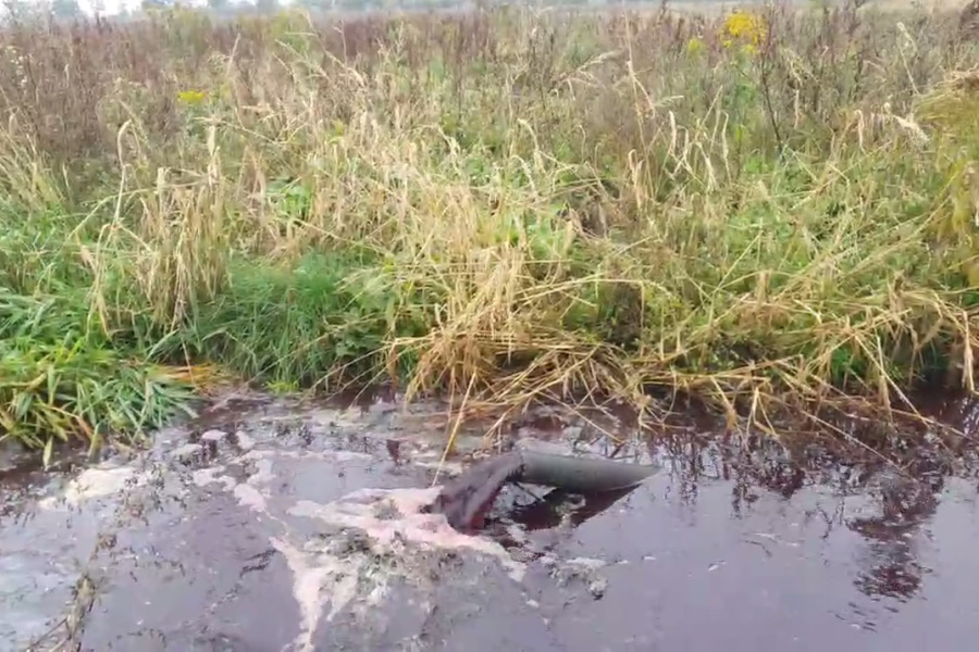 В минприроды обещают привлечь к ответственности фермера, затопившего поля кровью