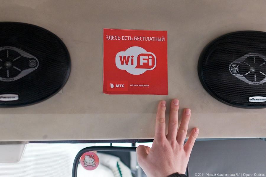 "Самая социальная сеть": фоторепортаж с презентации wi-fi в автобусах
