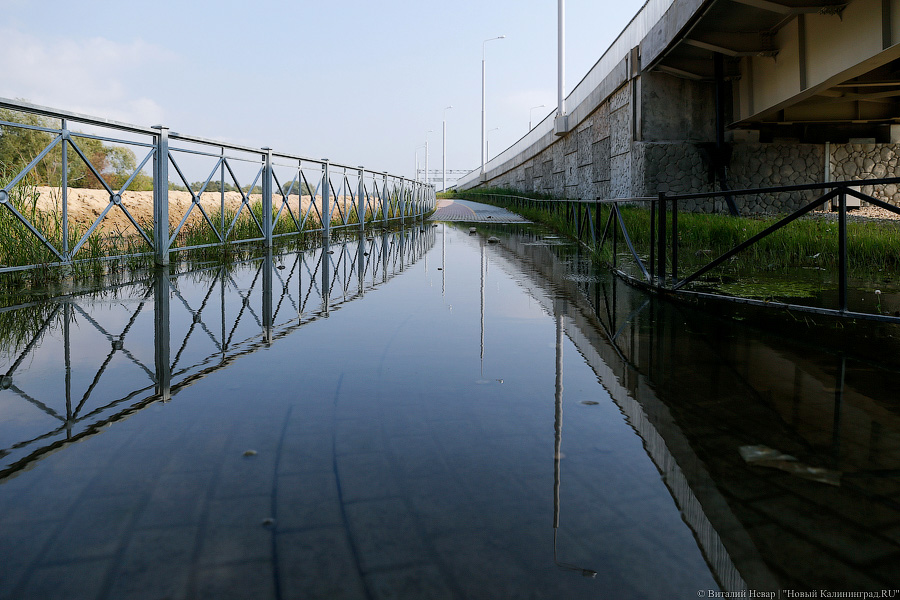 Дорожка для водного велосипеда: как тонут окрестности стадиона в Калининграде
