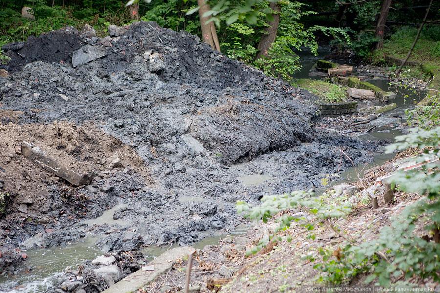 Около бывшей «Сказки» строители завалили глиной русло Паркового ручья (фото)