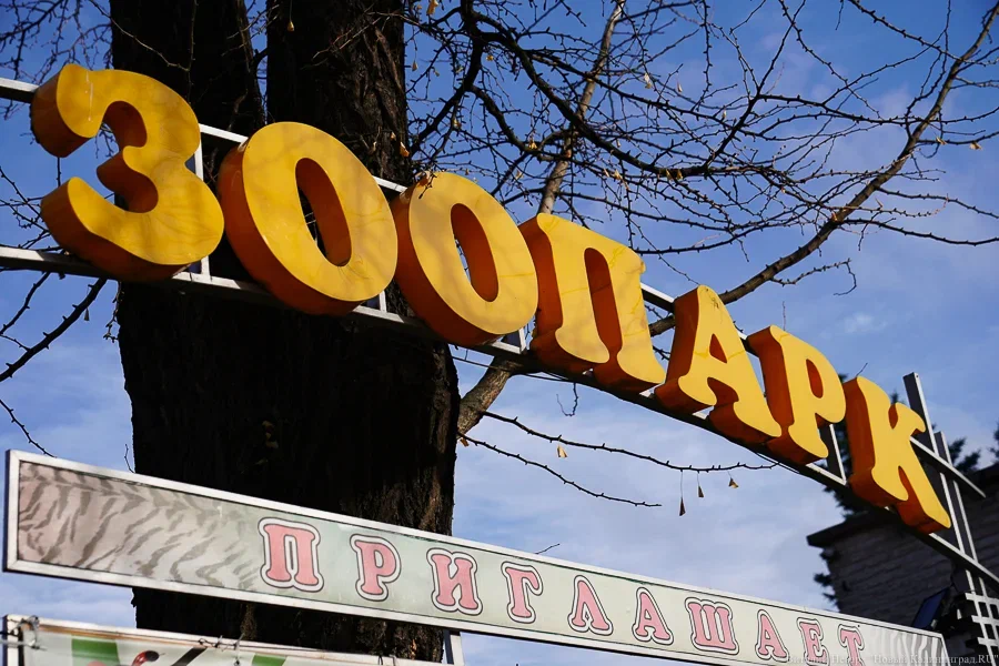 Фото: «Новый Калининград»