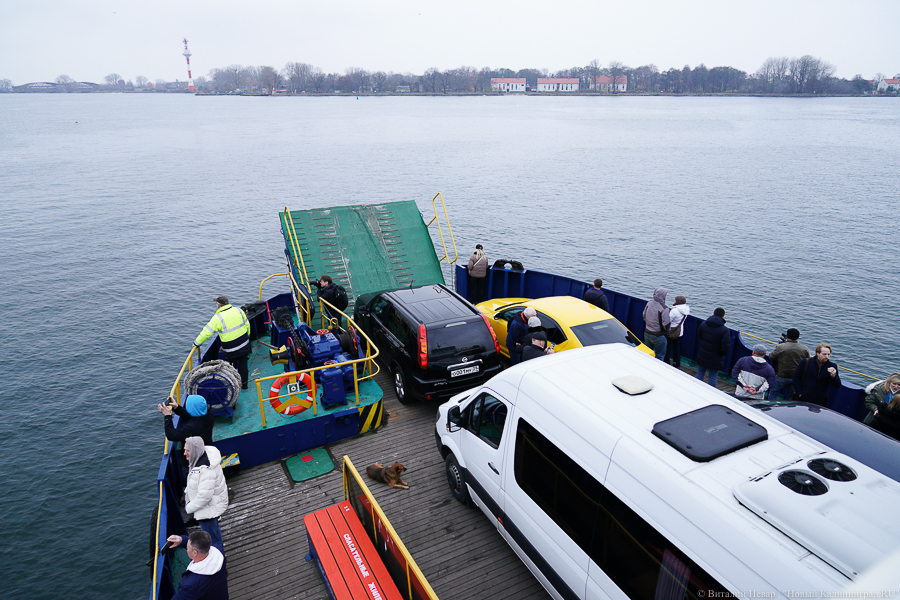 Фото: Виталий Невар / Новый Калининград