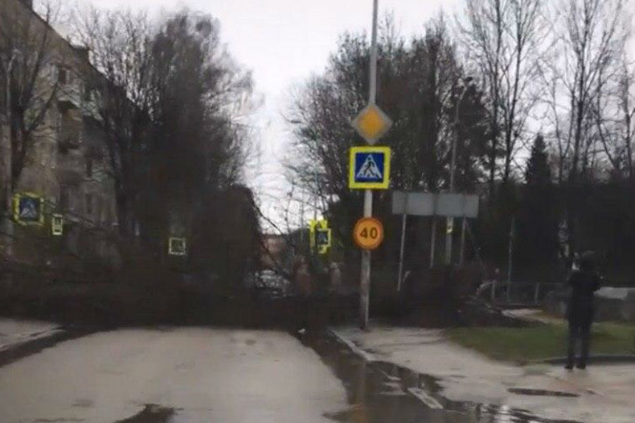 Деревья, столбы, строительные краны: первые последствия урагана в регионе (фото) (видео)