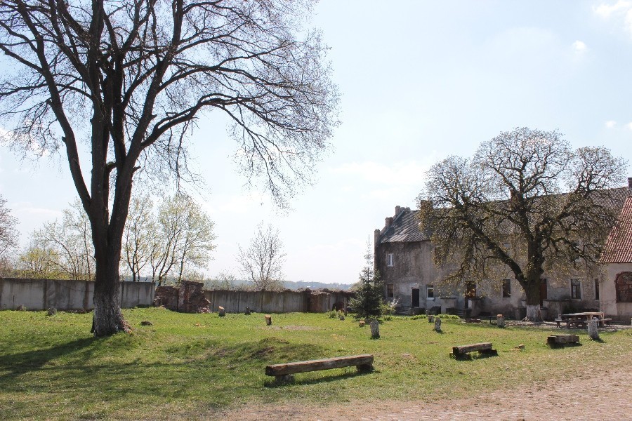 «Они были обречены»: почему вырубили яблони в замке Георгенбург