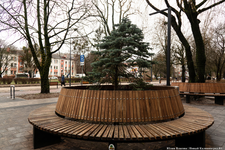 50 оттенков коричневого: как выглядит после ремонта Фестивальная аллея (фото)