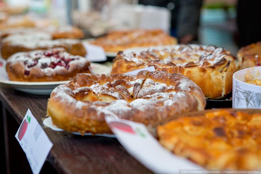 Сядь на пенёк, съешь пирожок: как прошел фестиваль шарлотки
