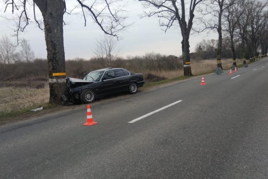 Под Полесском молодой водитель «БМВ» врезался в дерево, есть пострадавший (фото)