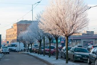 В Калининграде в связи с аномальными морозами объявлен режим повышенной готовности