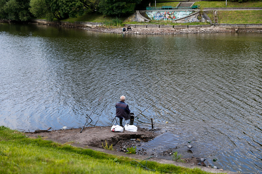 Нижнее сверху: набережная Нижнего озера перед ремонтом с высоты птичьего полёта
