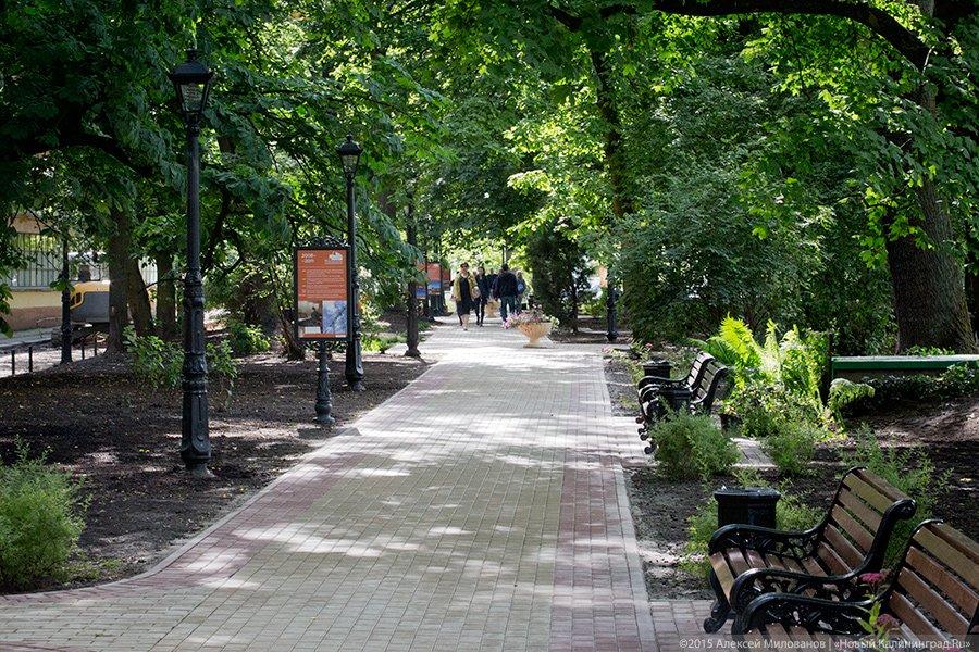 На фоне недостроя: как в Калининграде энергетики сквер открыли (фото)