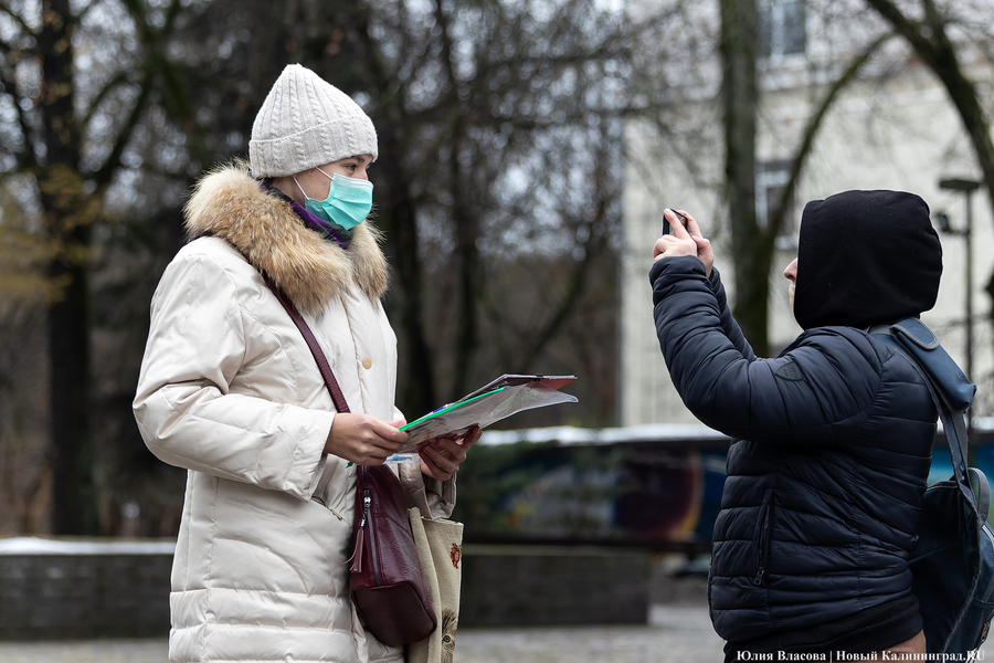 Черный ящик: в Калининграде провели сбор подписей против закона об абортах (фото)