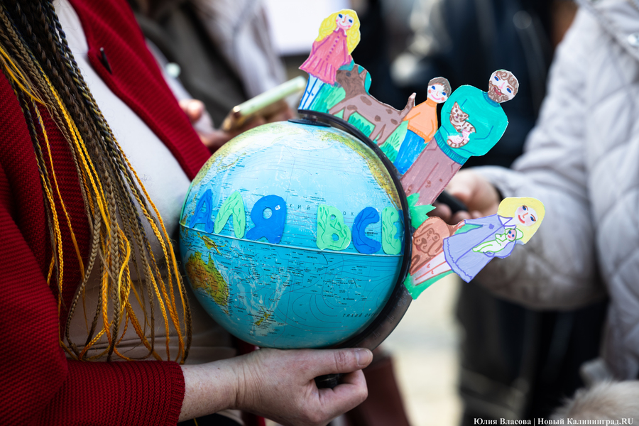 В защиту братьев меньших: в Калининграде прошёл митинг против убийства животных (фото)