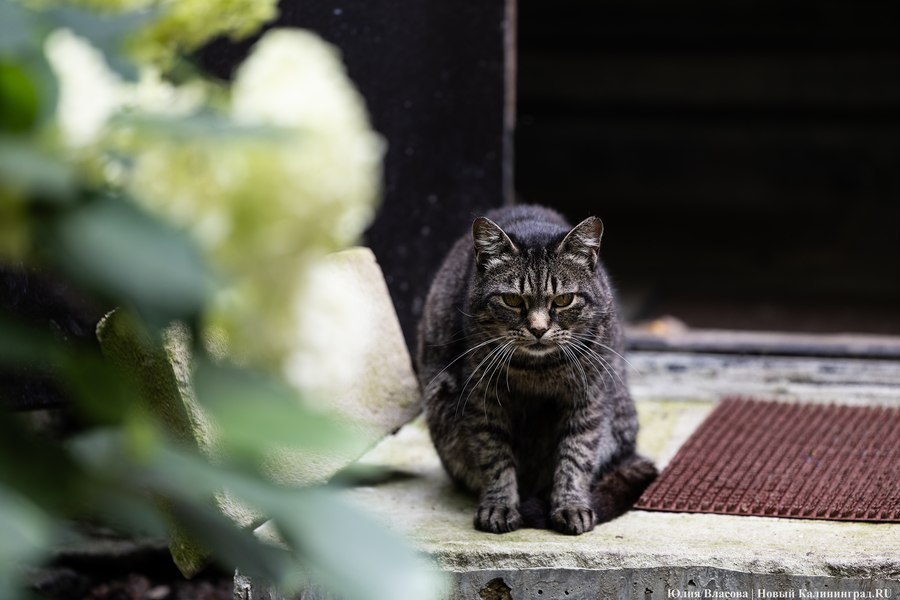 Погода в Калининградской области 15 сентября