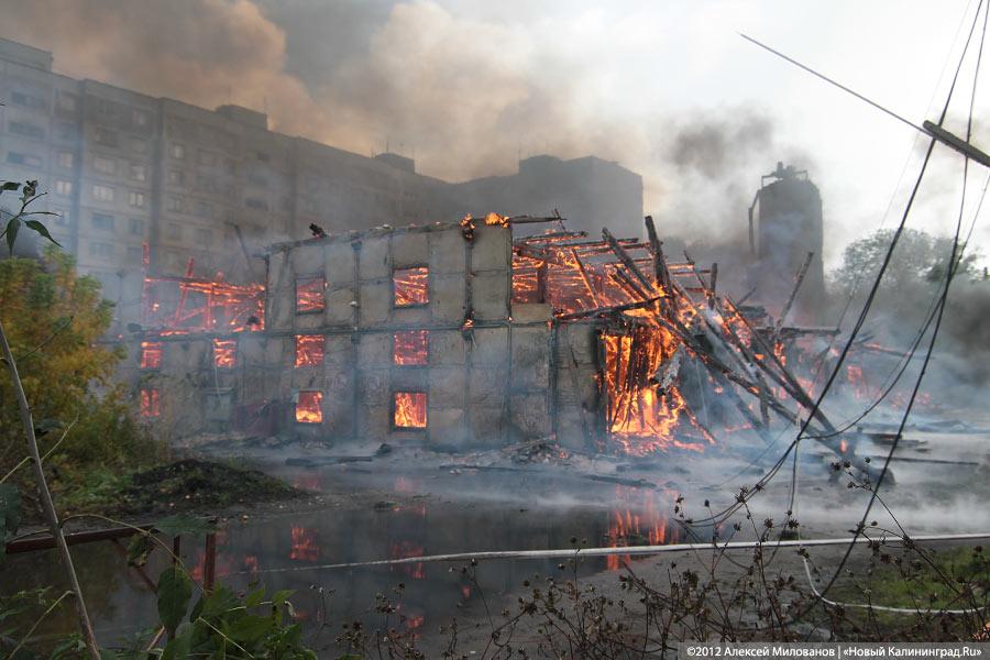 «Пожар года»: фоторепортаж «Нового Калининграда.Ru»