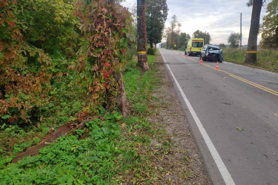 Полиция выяснила причины ДТП с 3 пострадавшими под Неманом и прекратила уголовное дело