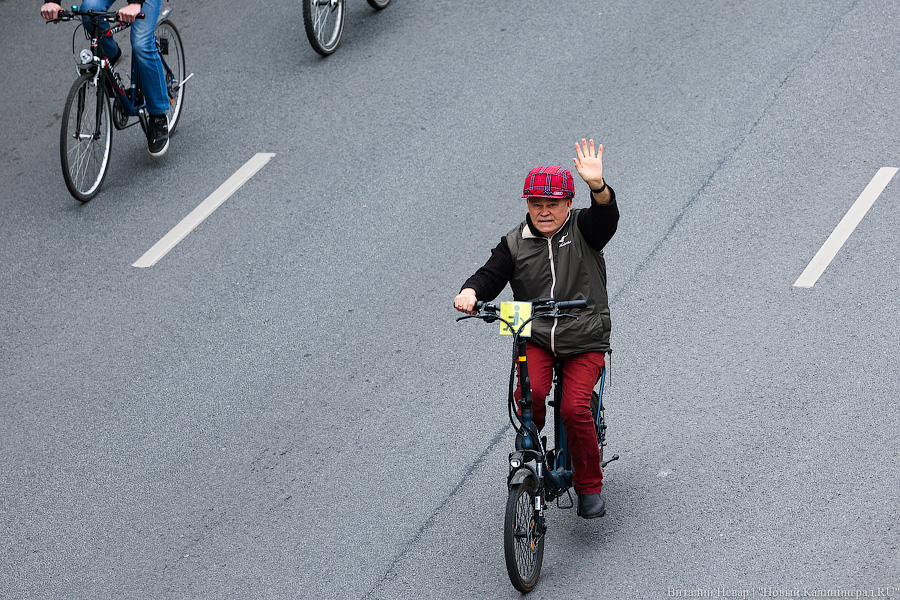 Лыжи, велики, унициклы: как прошёл велопарад в Калининграде (фото)