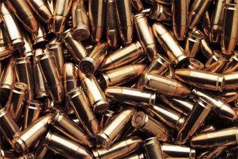 Полицейские за 5 дней изъяли 54 охотничьих ружья и более 800 боеприпасов