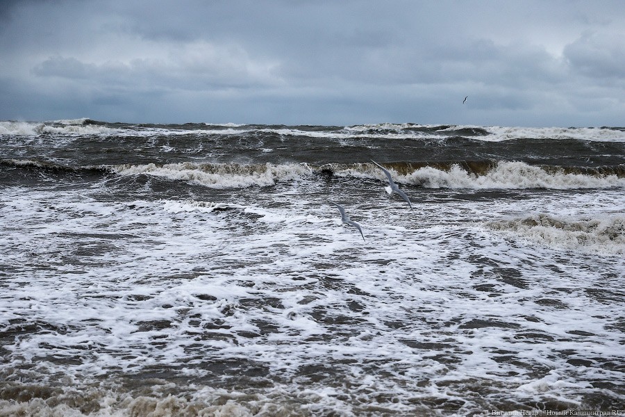 В Калининград прибыл спецборт для разминирования немецкой баржи под Балтийском