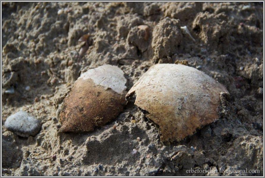 Рабочие раскопали захоронение на Моспроспекте, на земле валяются кости (фото)