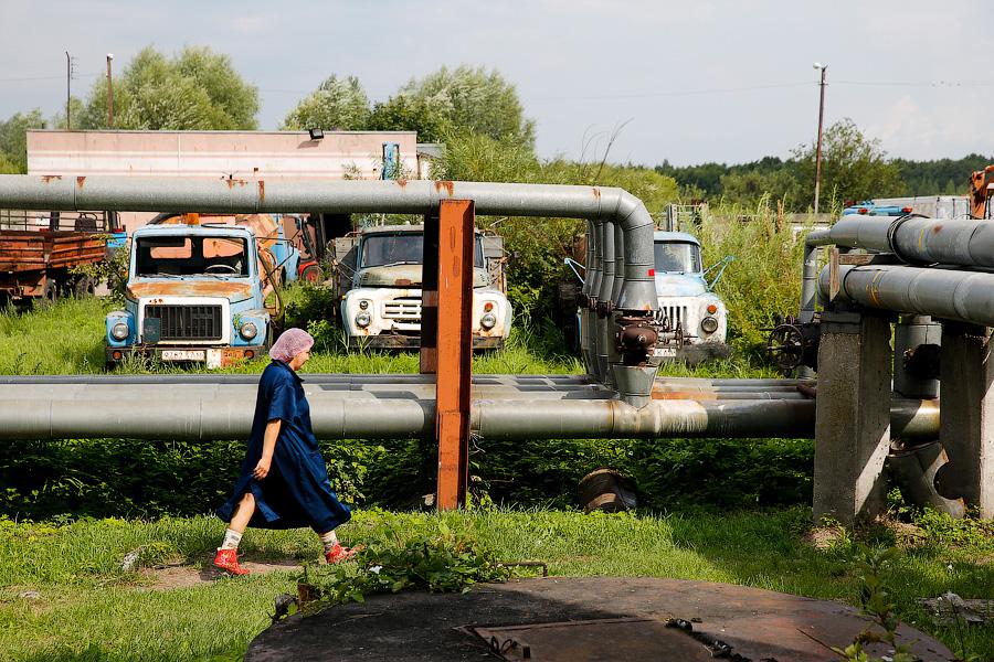 Без паники и спасибо Путину: что думают производители хлеба и консервов о продовольственном эмбарго