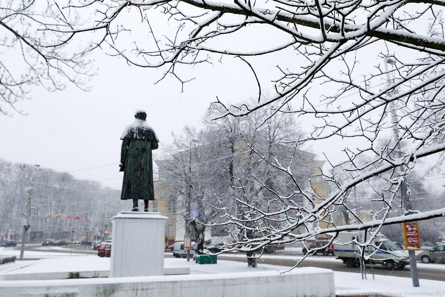 Белый снег, серый лёд: зима в Калининграде (фото)