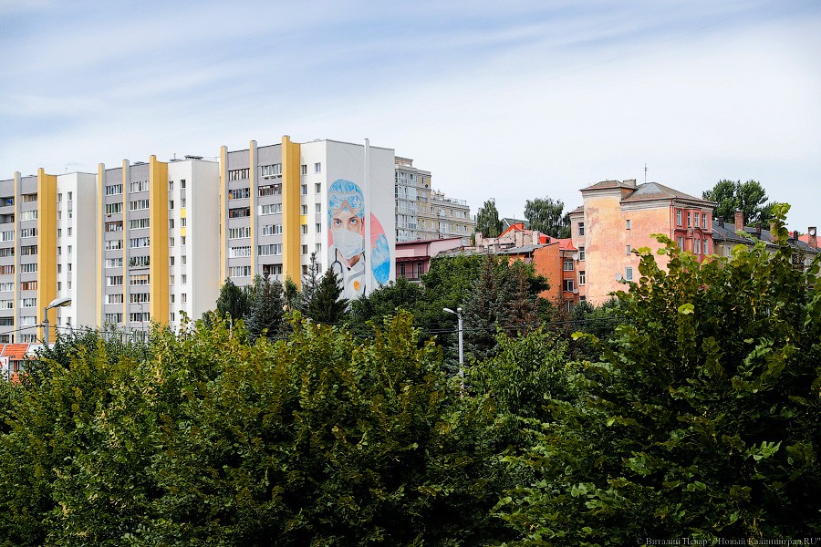 В Калининграде на фасаде девятиэтажки нарисовали врача в маске (фото)
