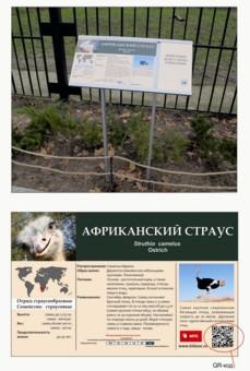 Калининградский зоопарк выиграл третий грант в этом году!