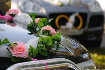 Директор ботсада о пробках на ул. Лесной: «Особенная беда — свадебные кортежи»