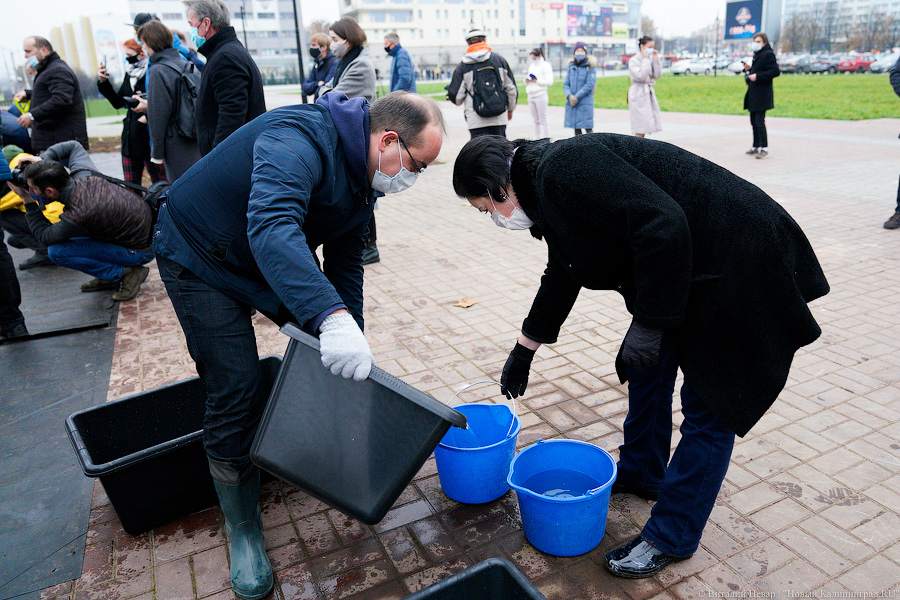 «Платанические» отношения: чиновники и бизнесмены посадили аллею у Дома Советов (фото)