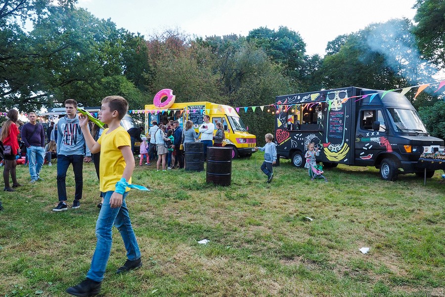 Подари мне дом: на Верхнем озере организовали выставку бездомных животных