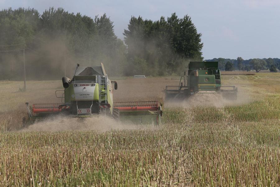 Круговое замыкание: как губернатор правдинские сельхозугодья инспектировал (фото)