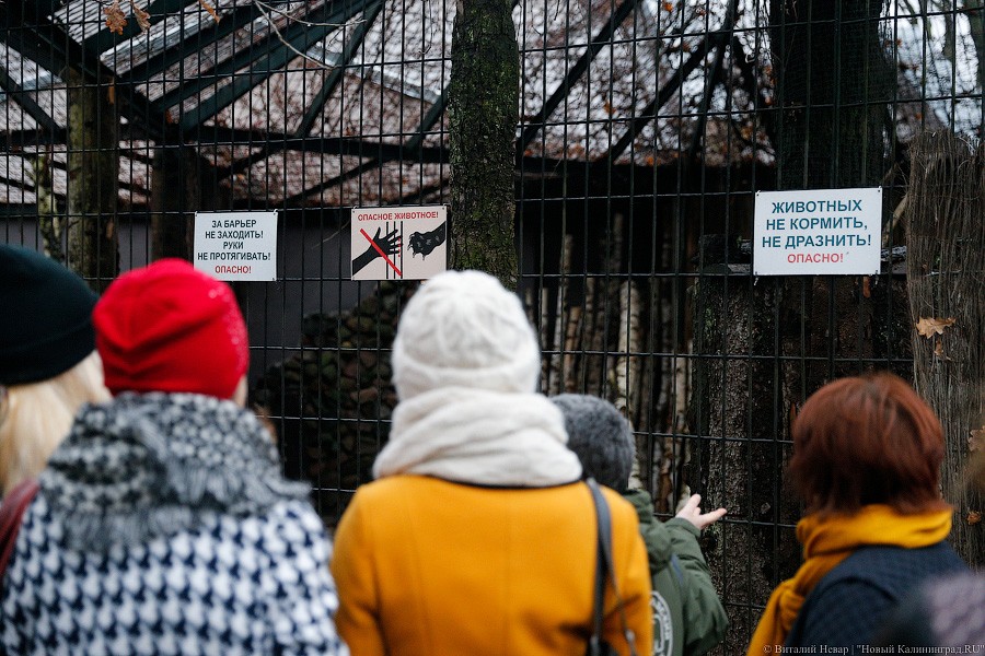 Фото — Виталий Невар, «Новый Калининград.Ru»