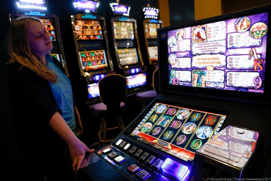 Без блэкджека: что представляет собой «балтийский Лас-Вегас» в Куликово